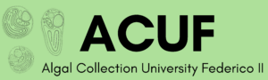 ACUF